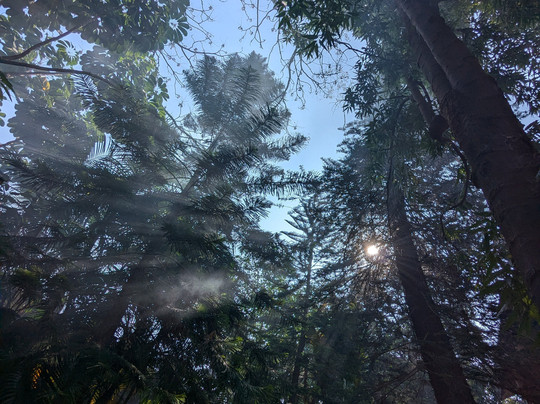 MTDC Resort, Panshet主图