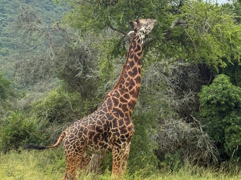 One More Adventure Safaris-坎帕拉必去景点