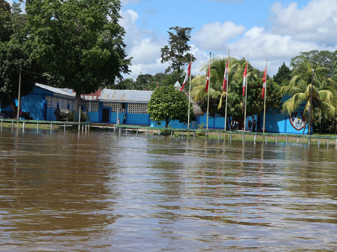 Area de Conservacion Regional Comunal Tamshiyacu Tahuayo-伊基托斯必去景点