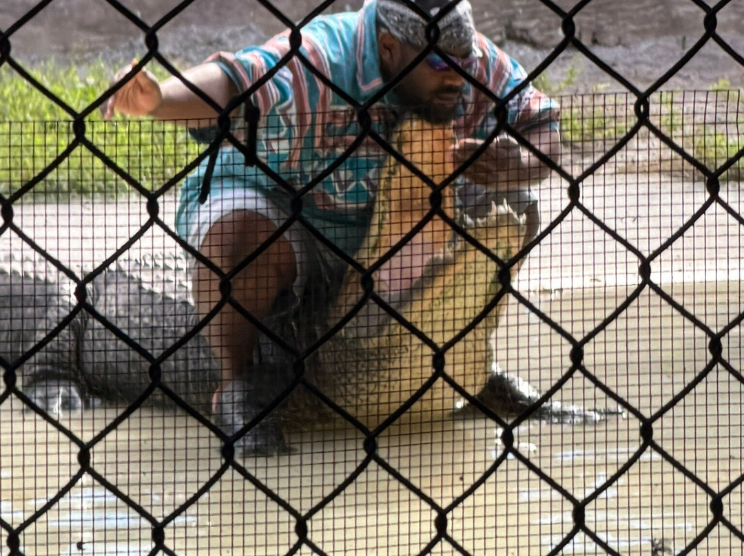 Wooten's Everglades Airboat Tour-奥乔皮必去景点