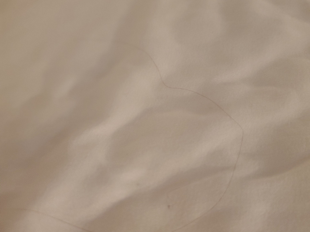 The Lodge Lake Chelan主图