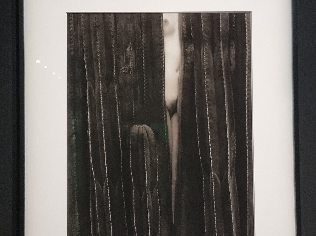 Nouveau Musée National De Monaco-蒙特卡洛必去景点