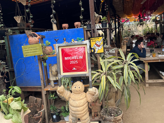 Shenic Tours-瓦哈卡必去景点