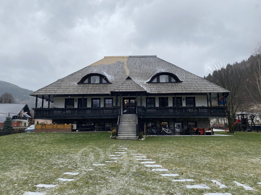 Pojorata酒店住宿-Pensiunea La Moara