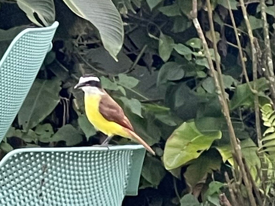 Academia Tica-圣何塞必去景点