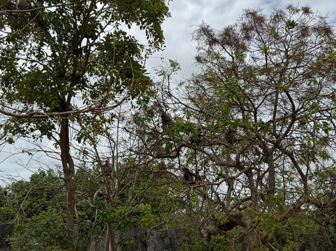 D.S Tours Day Tours-尼甘布必去景点