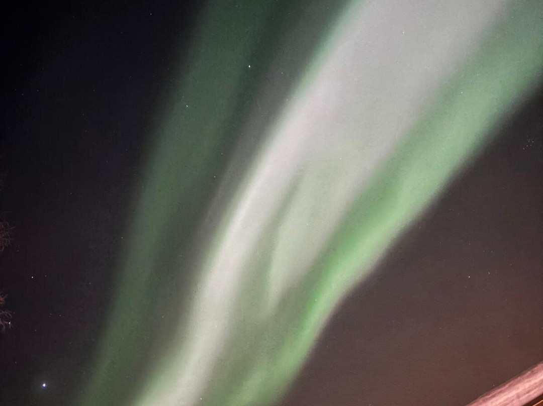 拉普兰熊之家酒店主图