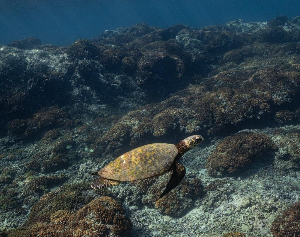 Uncharted Expeditions-圣何塞卡波必去景点