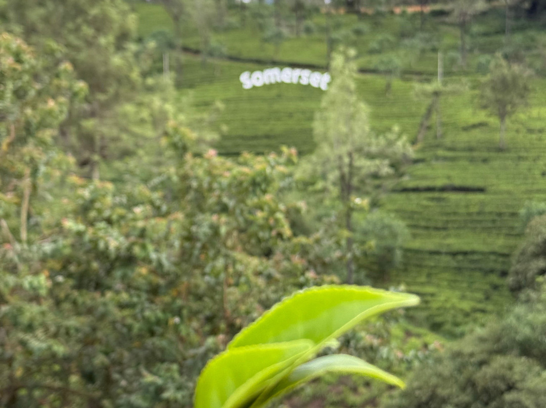 Miki Ceylon Tours-Ranna必去景点