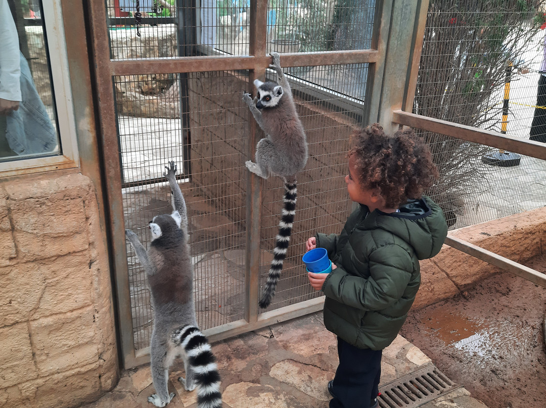 Pafos Zoo-帕福斯必去景点