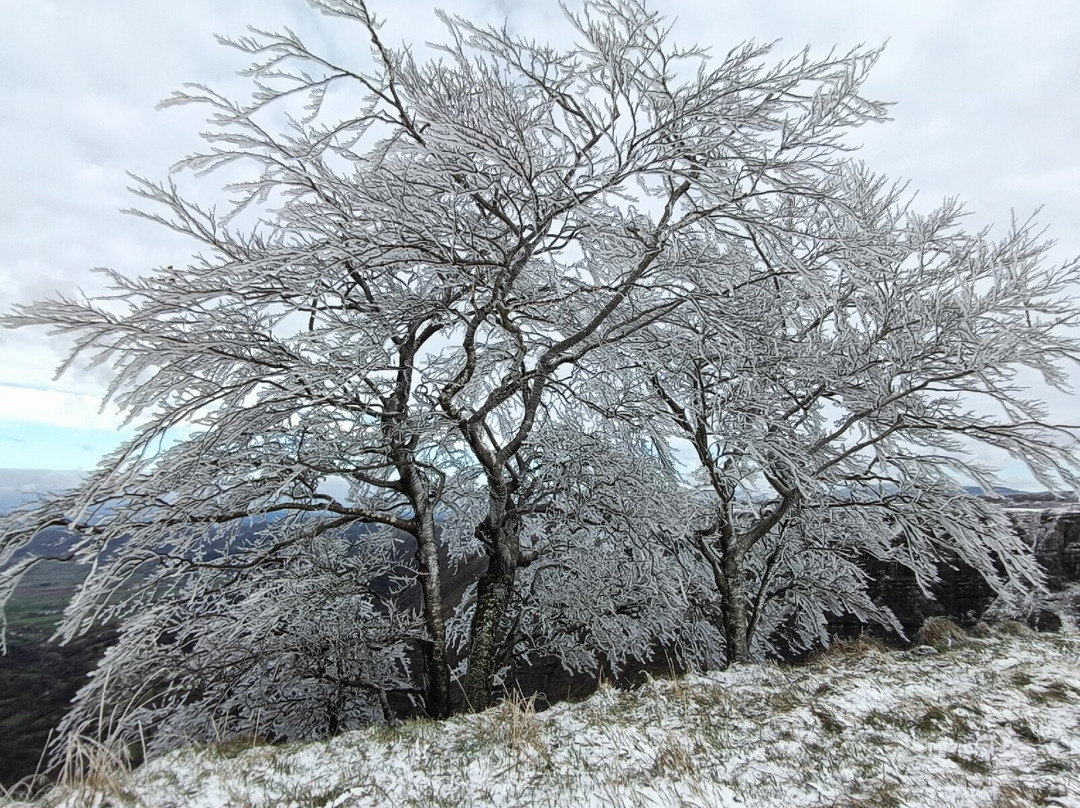 Salto del Nervion-Delika必去景点