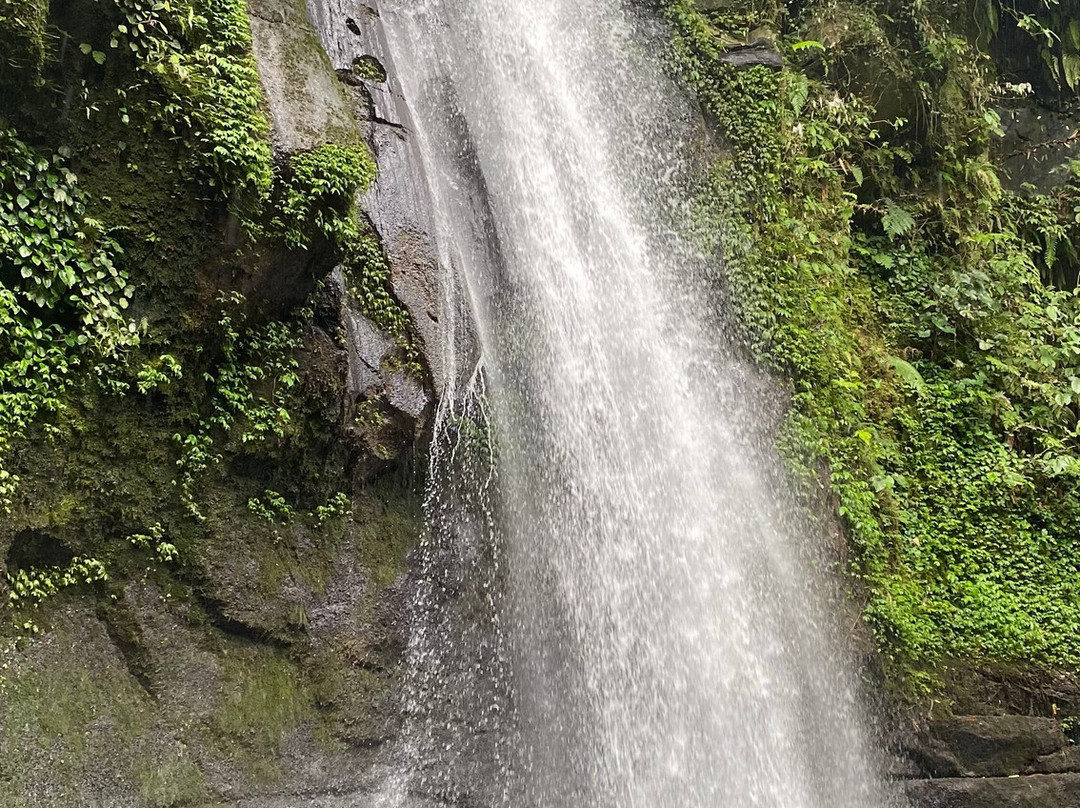 Bali Tour Buddy-乌布必去景点
