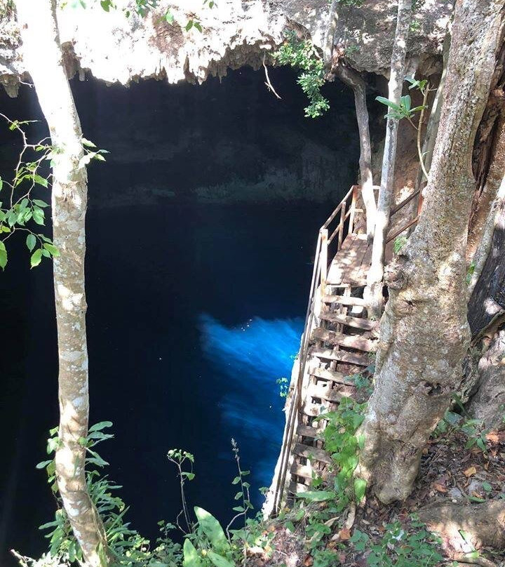 Yucatan Cenote Eco-Aventuras-Progreso必去景点