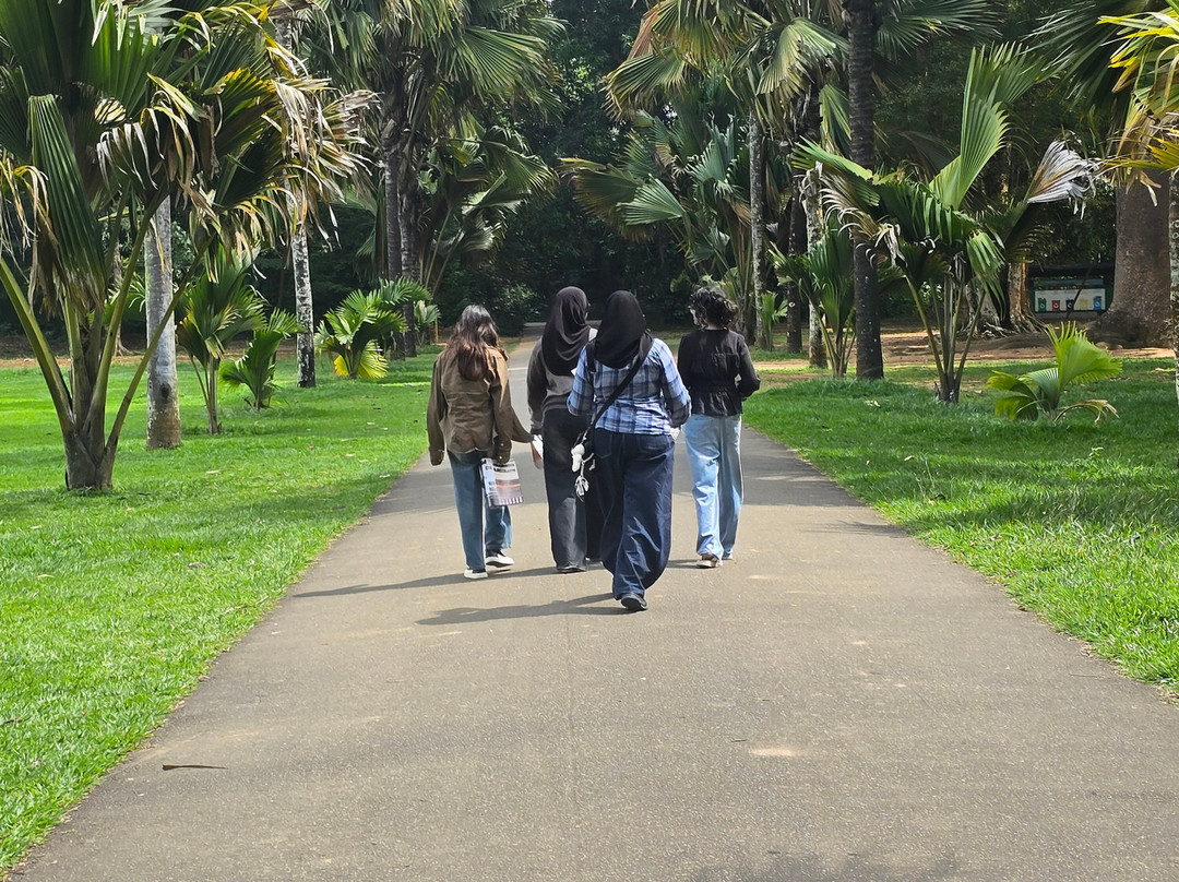 Revival Ceylon Tours-Kuliyapitiya必去景点