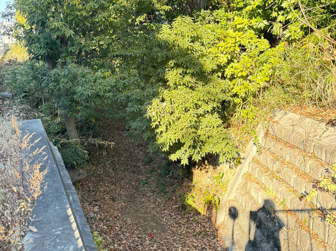 Koigakubo Village Water Diversion-国分寺市必去景点