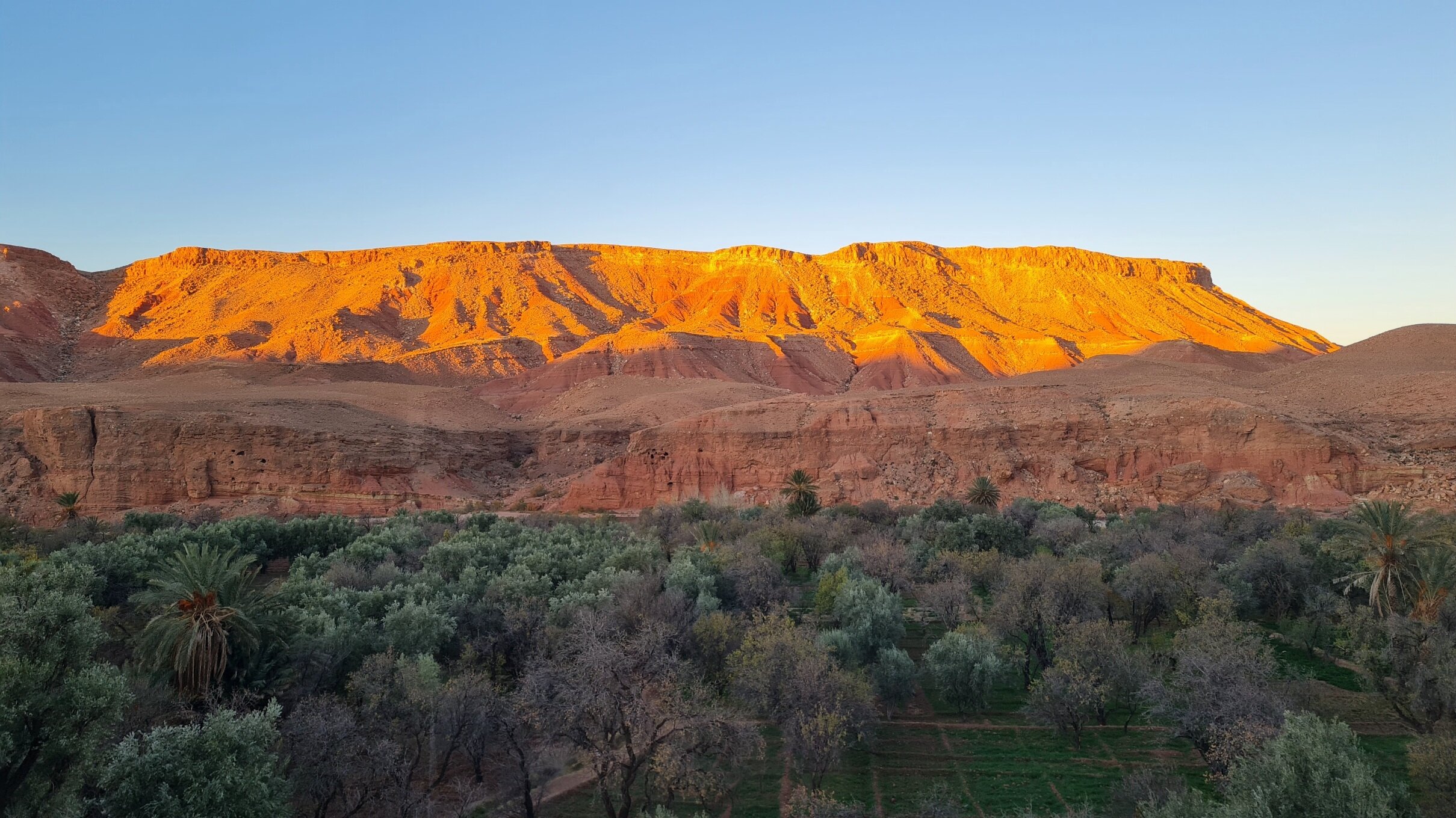guest house Kasbah Ellouze-官方