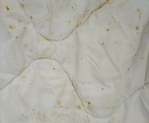 Comfort Hotel Cecil Metz Gare主图