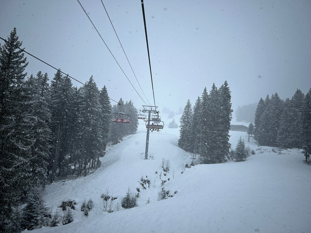 Ski With Ease-莫尔济讷必去景点