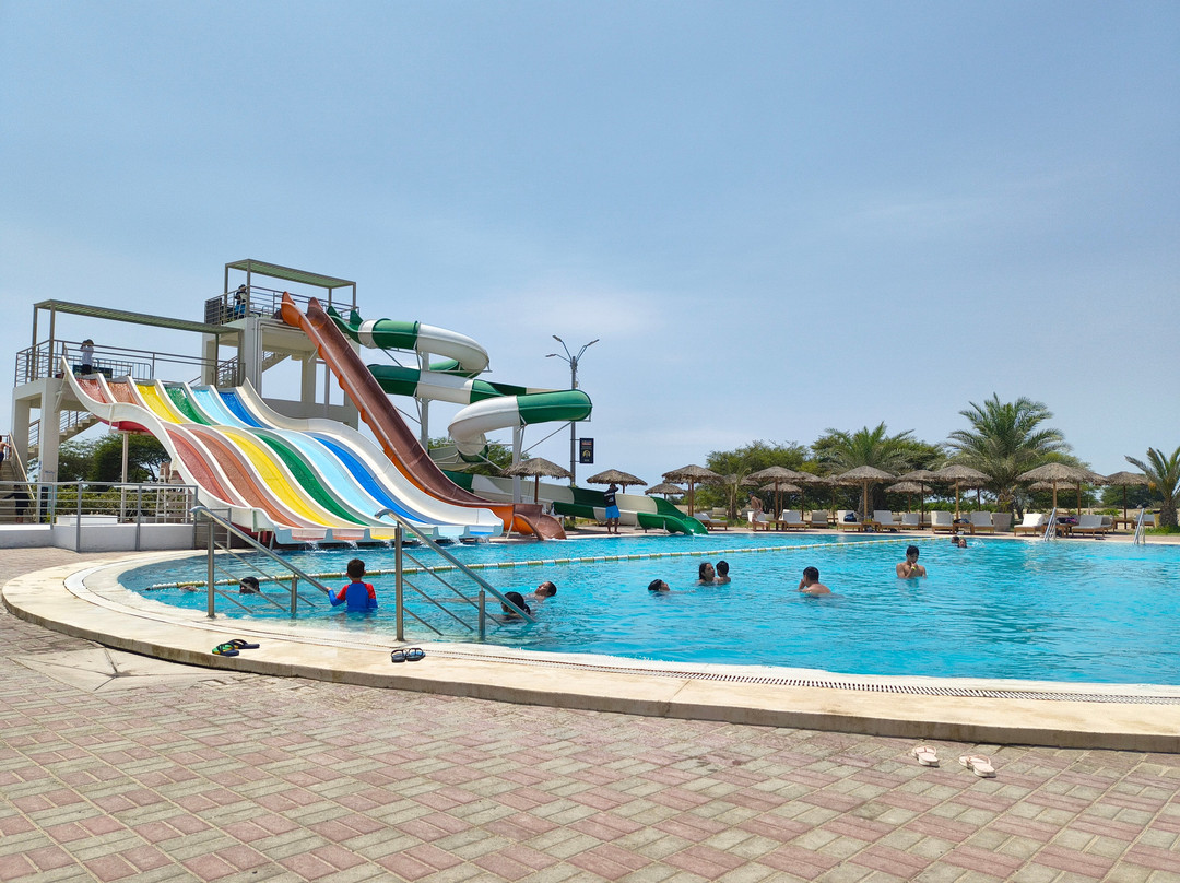 Dromedarius-伊卡必去景点