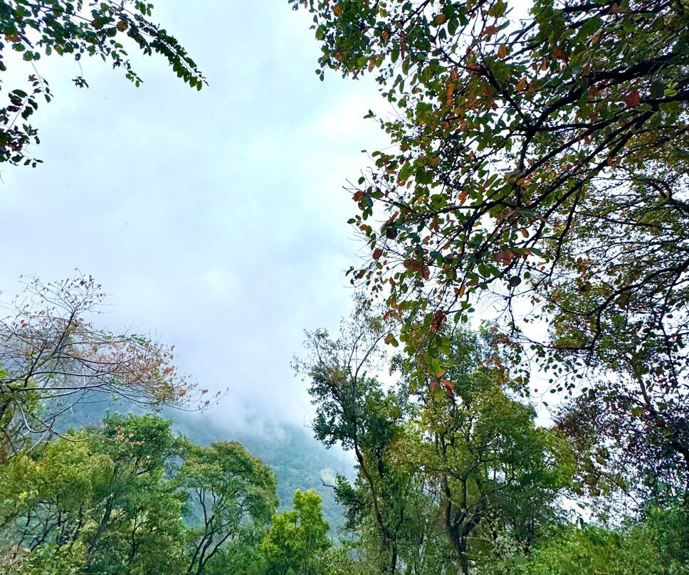 Sterling Kodai Valley主图