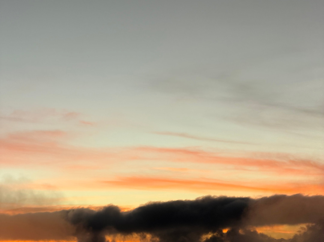 Bestday Safaris-阿鲁沙必去景点