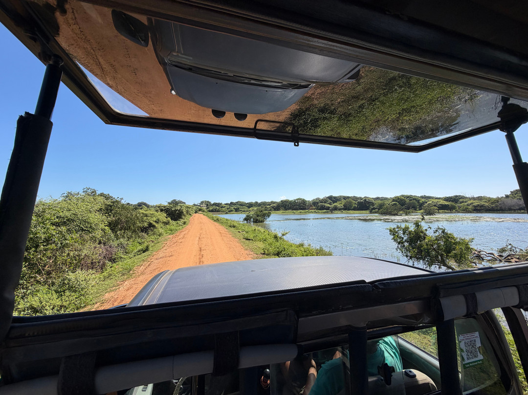 Yala Safari Srilanka-蒂瑟默哈拉默必去景点