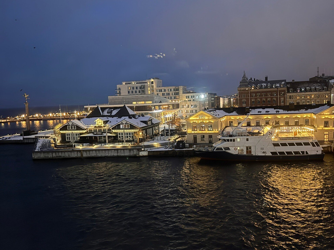 瑞典精英酒店主图