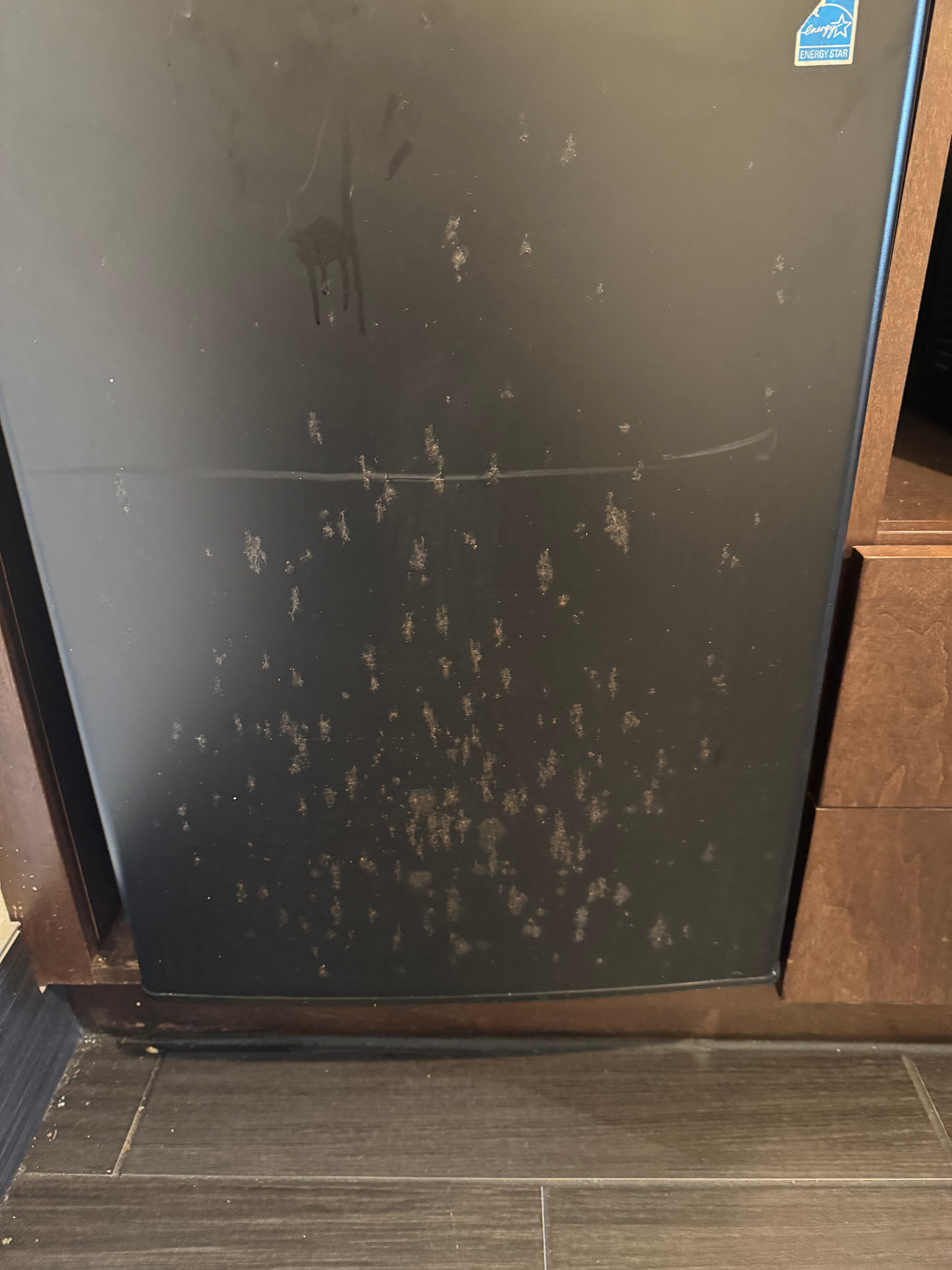 Hampton Inn Bainbridge-客卧