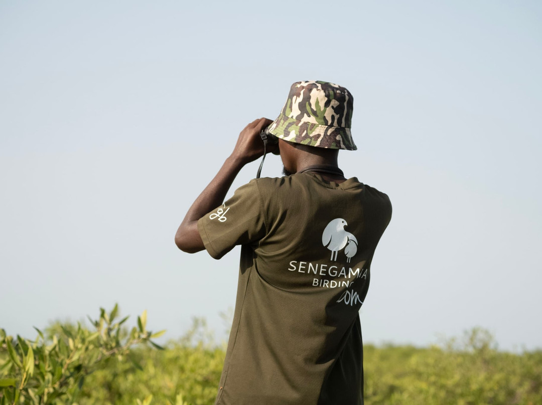 Senegambia Birding-Mandinari必去景点