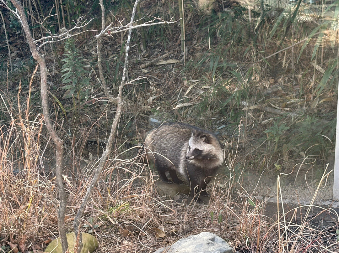 福岛水族馆-盘城市必去景点