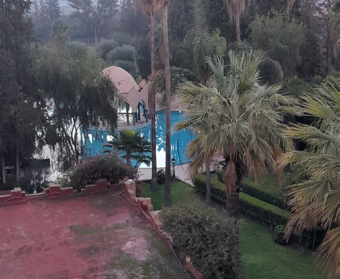 Chems Le Tazarkount主图