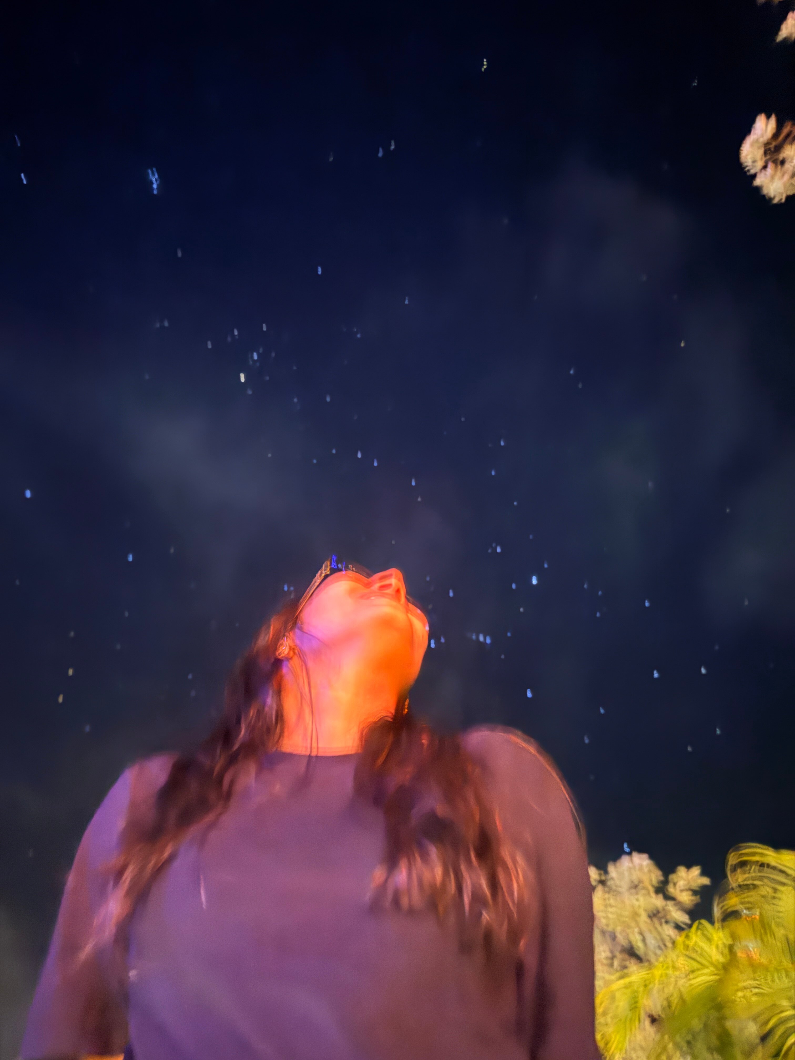 沙罗义度假村-官方