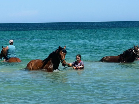 Minninup Beach-Stratham必去景点