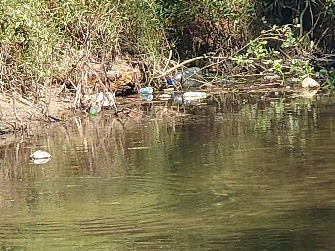 Royal Thai Navy Sea Turtle Conservation Center Phang Nga-Lam Kaen必去景点