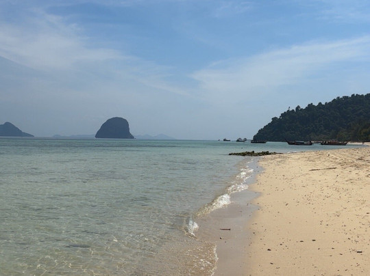 爱岛可可小屋主图