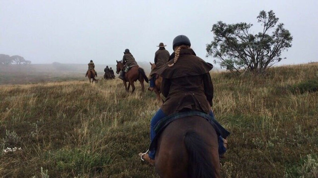 Snowy Range Horseback Tours-Heyfield必去景点