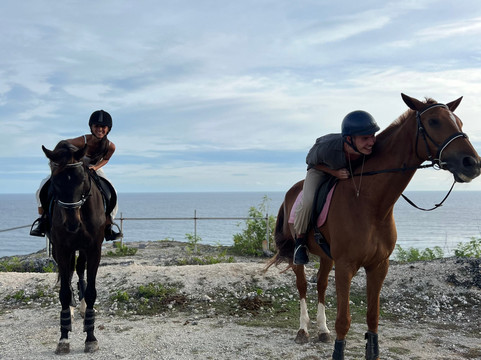 Royal Sporthorse Bali-Kutuh必去景点