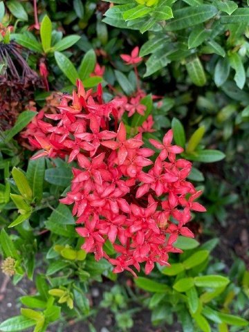 Blue Osa Yoga Retreat and Spa-浴室