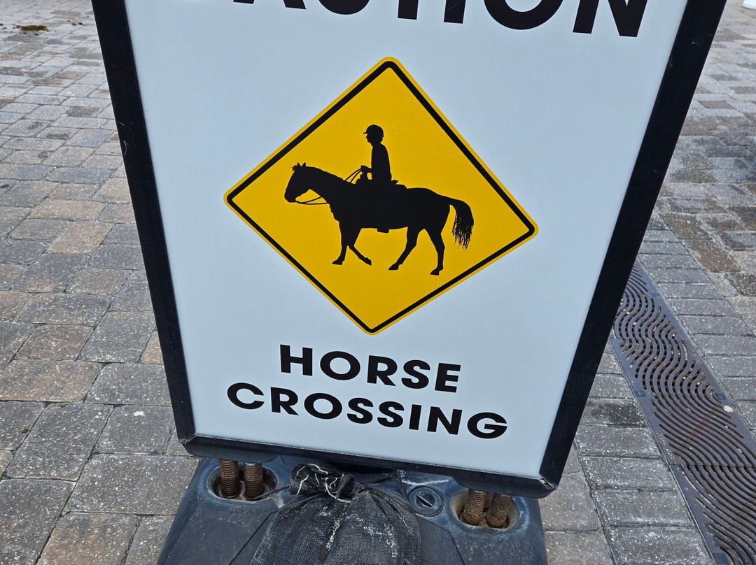 World Equestrian Center Ocala-奥卡拉必去景点