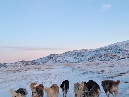 Diskobay Tours-伊卢利萨特必去景点
