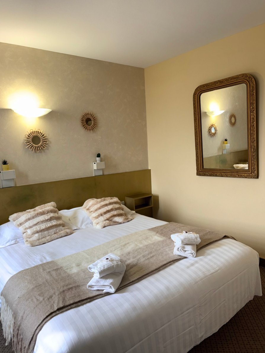 Hotel Le Lion d'Or-客卧
