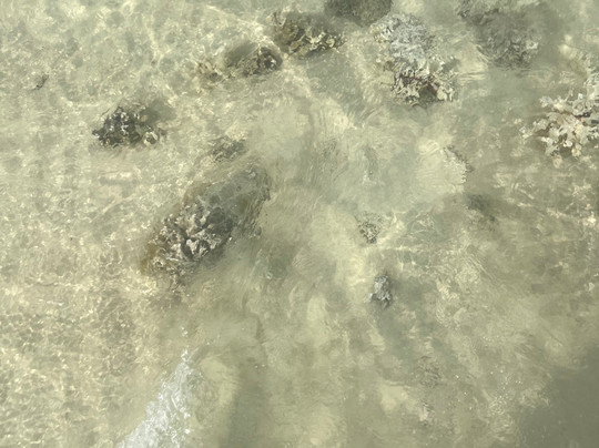 Cinderella Eldawley - Diving Center-沙姆沙伊赫必去景点