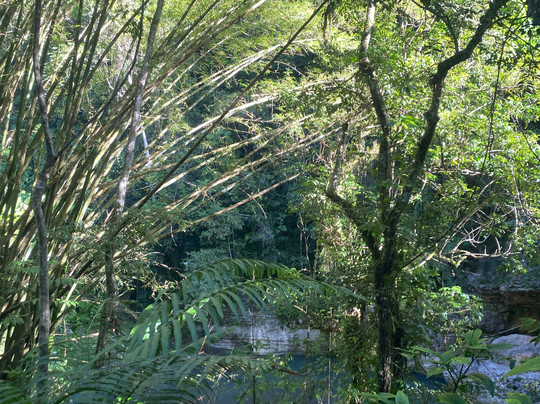 Batey Adventures-Utuado必去景点