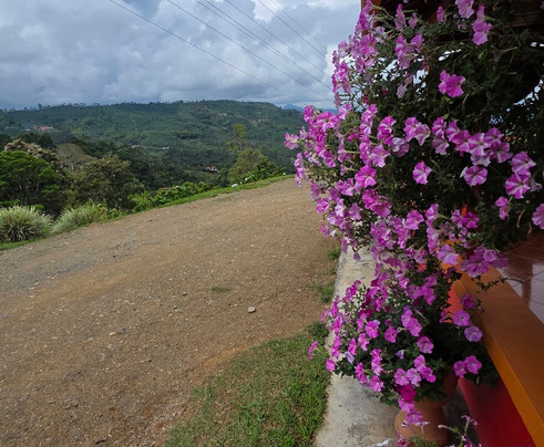 Tour cafetero los Correa-Jardin必去景点