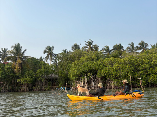 Kayak journey-Rekawa必去景点