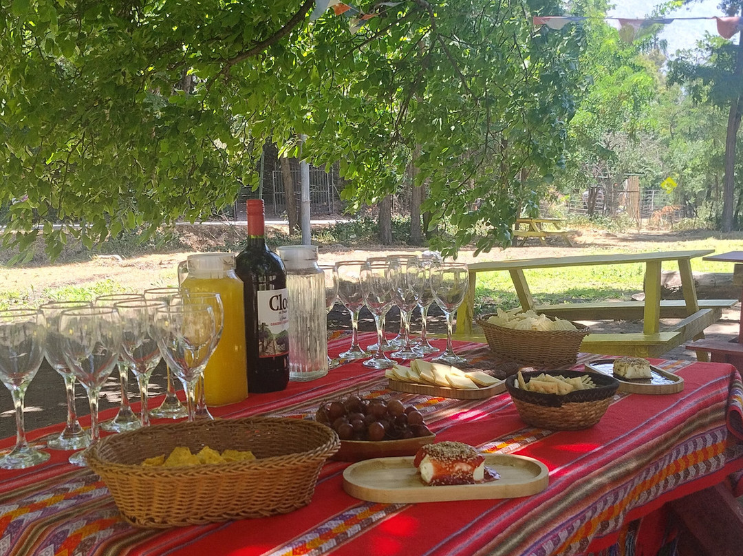 Descobrindo Chile-圣地亚哥必去景点