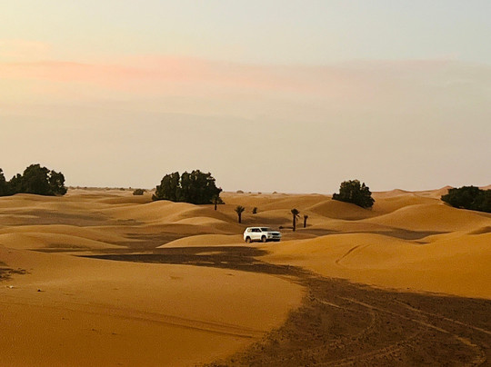 Sunshine Morocco Tours-马拉喀什必去景点