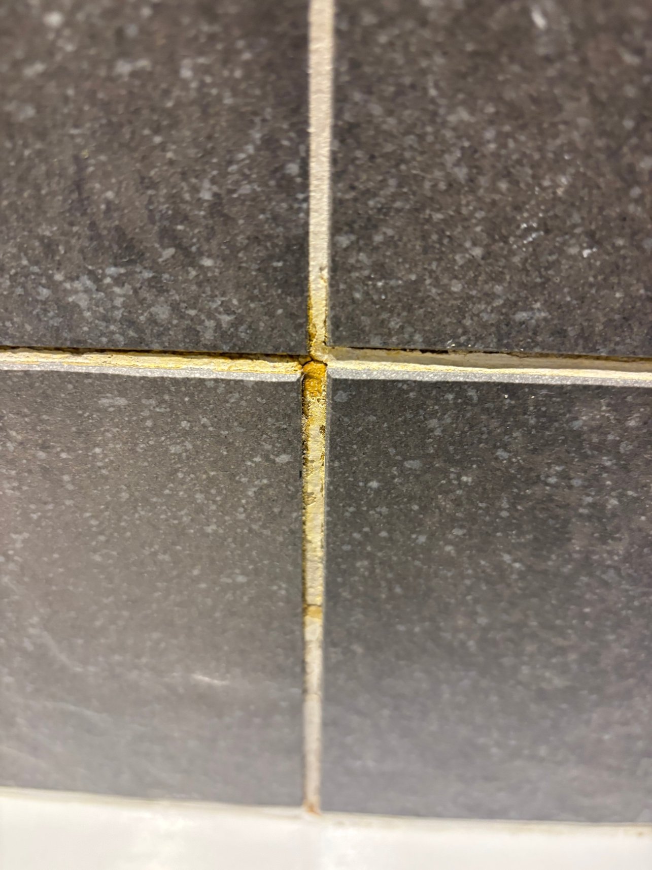 巴尔莫勒尔丽笙酒店-浴室