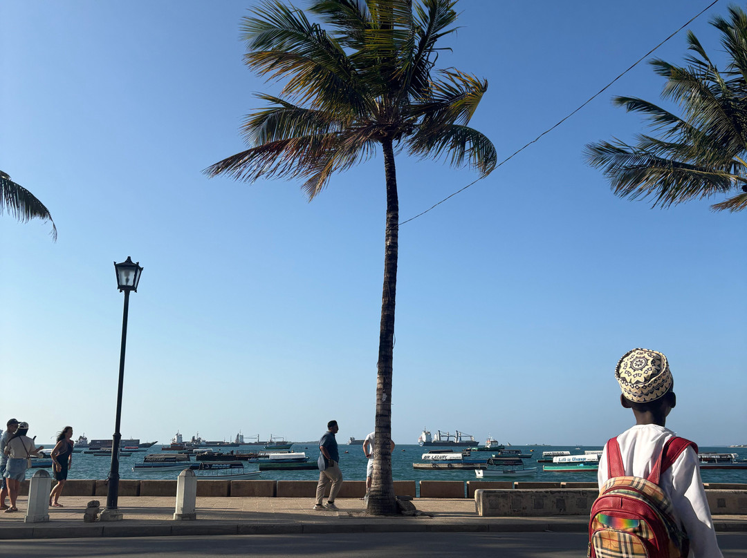 Kaaya Zanzibar Car Rental-石头城必去景点