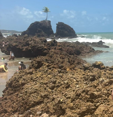 Praia de Tambaba-Conde必去景点